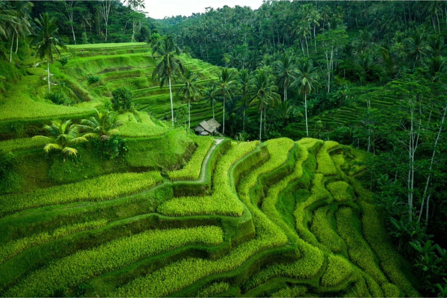 One Day West Nusa Penida Tour